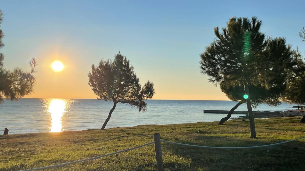 Iva Apartments Novigrad  Bagian luar foto