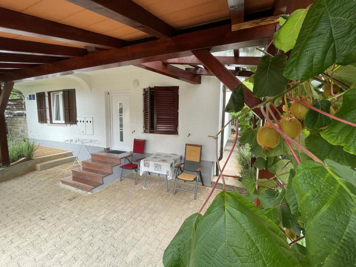 Iva Apartments Novigrad  Bagian luar foto